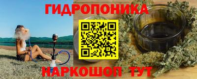 стаф Славгород