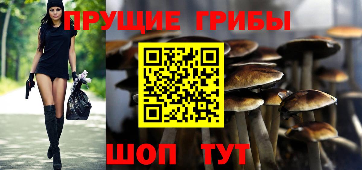 Псилоцибиновые грибы GOLDEN TEACHER Россошь